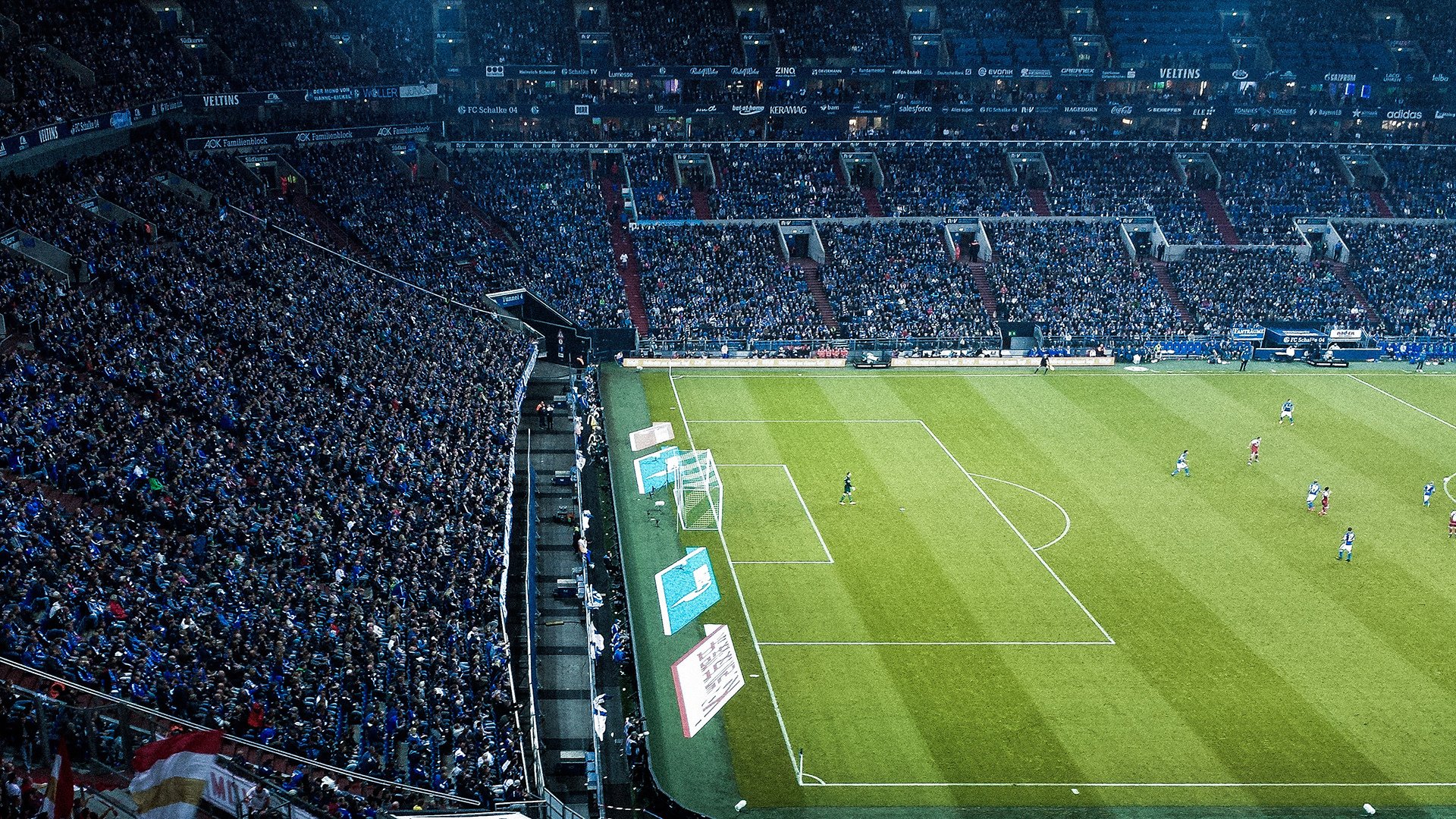 体育科普短视频征集活动面向全网启动,体育科普动画